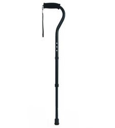 Picture for category Walking Sticks